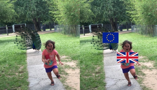 Un viaje fallido al zoológico dio lugar a un meme con una niña que le quitaba los pies a un pavo real Un viaje fallido al zoológico dio lugar a un meme con una niña que le quitaba los pies a un pavo real