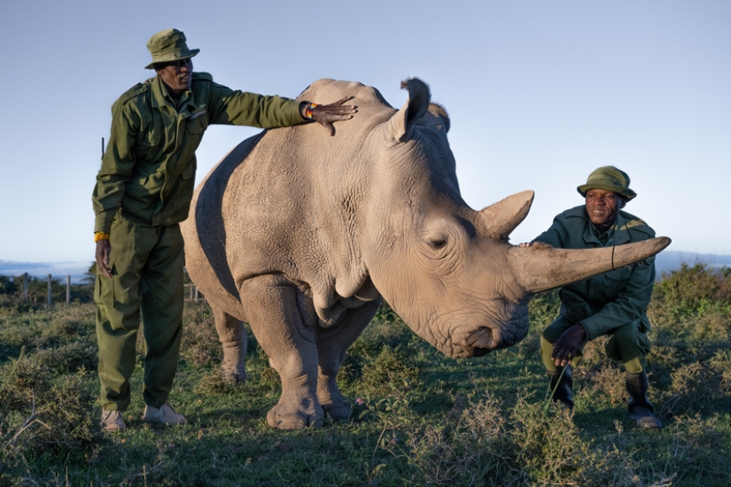 Un viaje increíble muestra el poder de la fotografía y la conservación de la vida silvestre