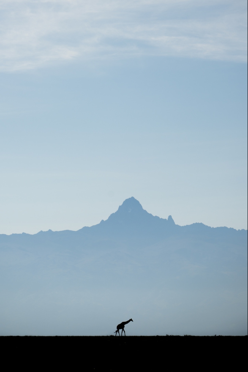 Un viaje increíble muestra el poder de la fotografía y la conservación de la vida silvestre