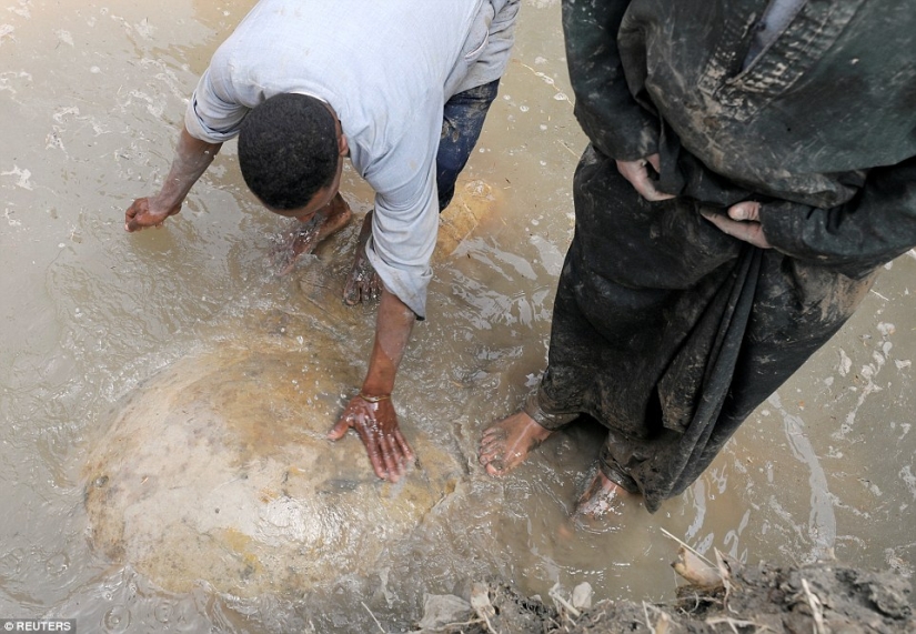 Una estatua de 3.000 años de antigüedad del faraón Ramsés II ha sido encontrada en El Cairo