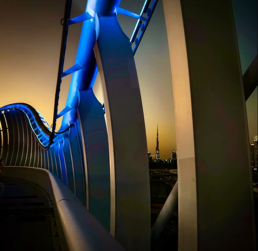 Una explosión de colores: 10 imágenes cautivadoras que ganaron la 27.ª edición de los premios de fotografía de la revista AAP (Parte 2)