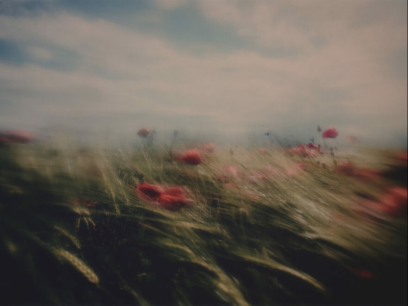 Una Explosión De Colores: 15 Imágenes Cautivadoras Que Ganaron La 27ª Edición De Los Premios De Fotografía De La Revista AAP