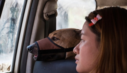Una historia conmovedora sobre una amistad increíble Una historia conmovedora sobre una amistad increíble