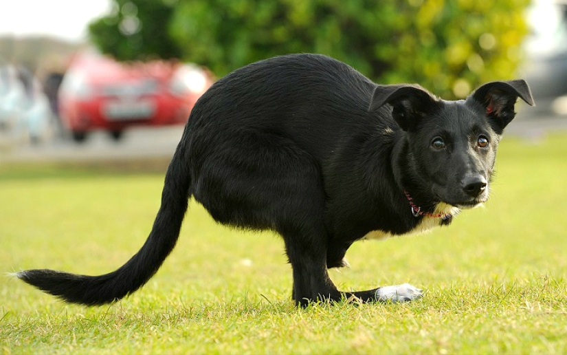 Una historia increíble sobre cómo Ru llegó al éxito: ¡sobre ruedas!