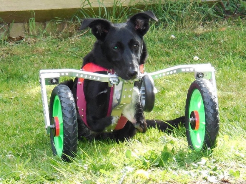 Una historia increíble sobre cómo Ru llegó al éxito: ¡sobre ruedas!