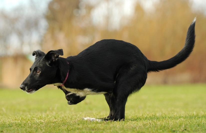 Una historia increíble sobre cómo Ru llegó al éxito: ¡sobre ruedas!