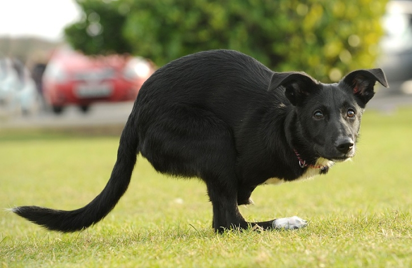 Una historia increíble sobre cómo Ru llegó al éxito: ¡sobre ruedas!