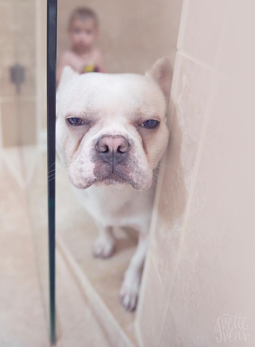 Una publicación de ternura impensable de cachorros, ¡humanos y no solo! Una publicación de ternura impensable de cachorros, ¡humanos y no solo!