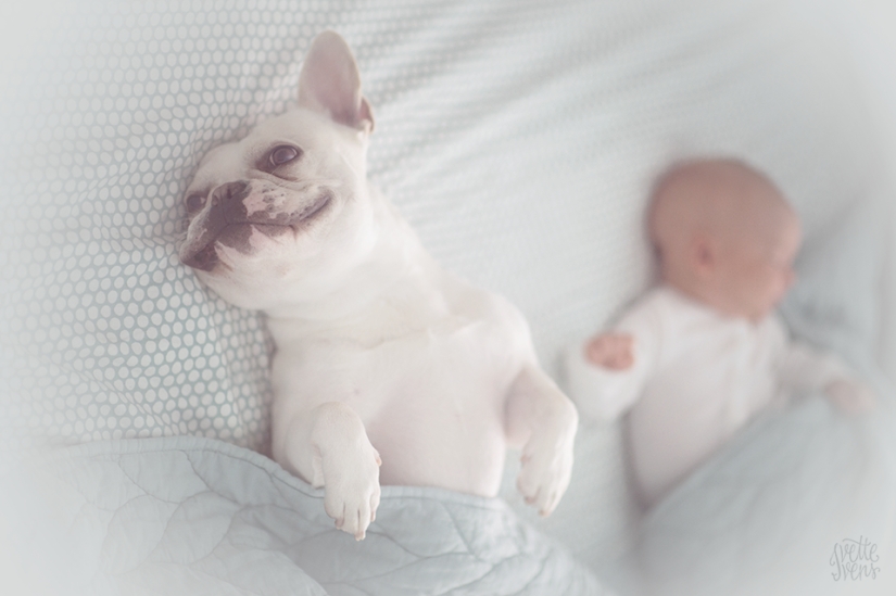 Una publicación de ternura impensable de cachorros, ¡humanos y no solo! Una publicación de ternura impensable de cachorros, ¡humanos y no solo!