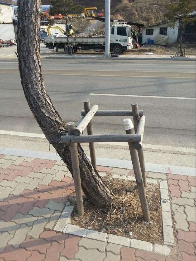 Una publicación para aquellos que al menos una vez en su vida violaron reglas estúpidas.