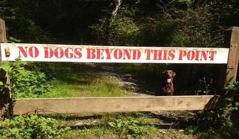 Una publicación para aquellos que al menos una vez en su vida violaron reglas estúpidas.