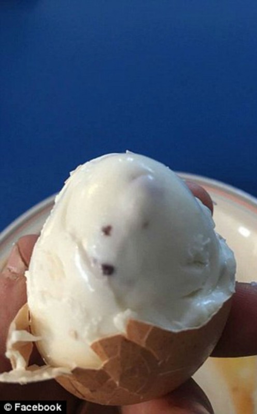 Una tortilla con moho, manzanas podridas y pollo crudo: qué más se alimenta en el ejército británico