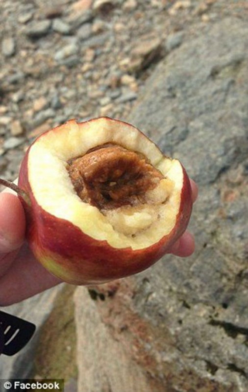 Una tortilla con moho, manzanas podridas y pollo crudo: qué más se alimenta en el ejército británico