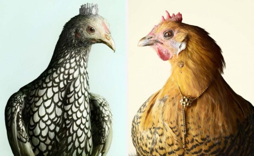 Una versión inusual de la joyería de Peter Lippmann