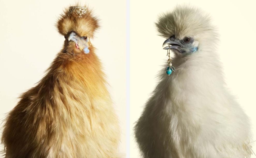 Una versión inusual de la joyería de Peter Lippmann