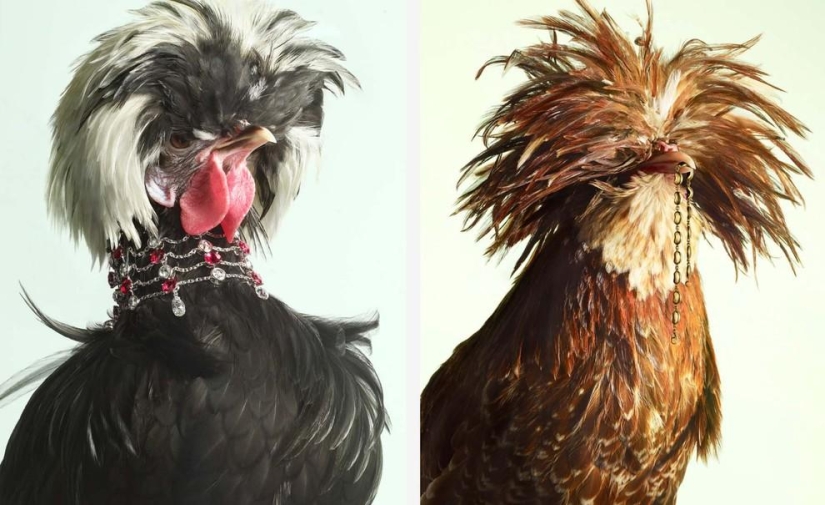 Una versión inusual de la joyería de Peter Lippmann