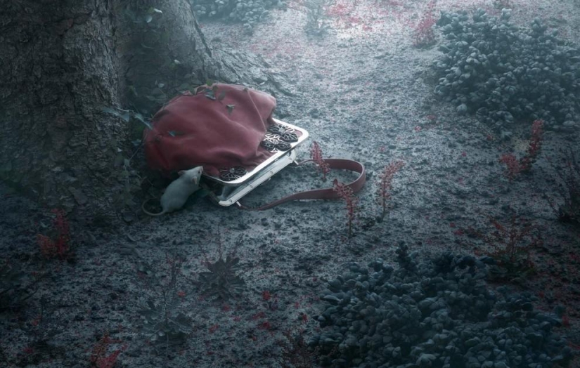 Una versión inusual de la joyería de Peter Lippmann