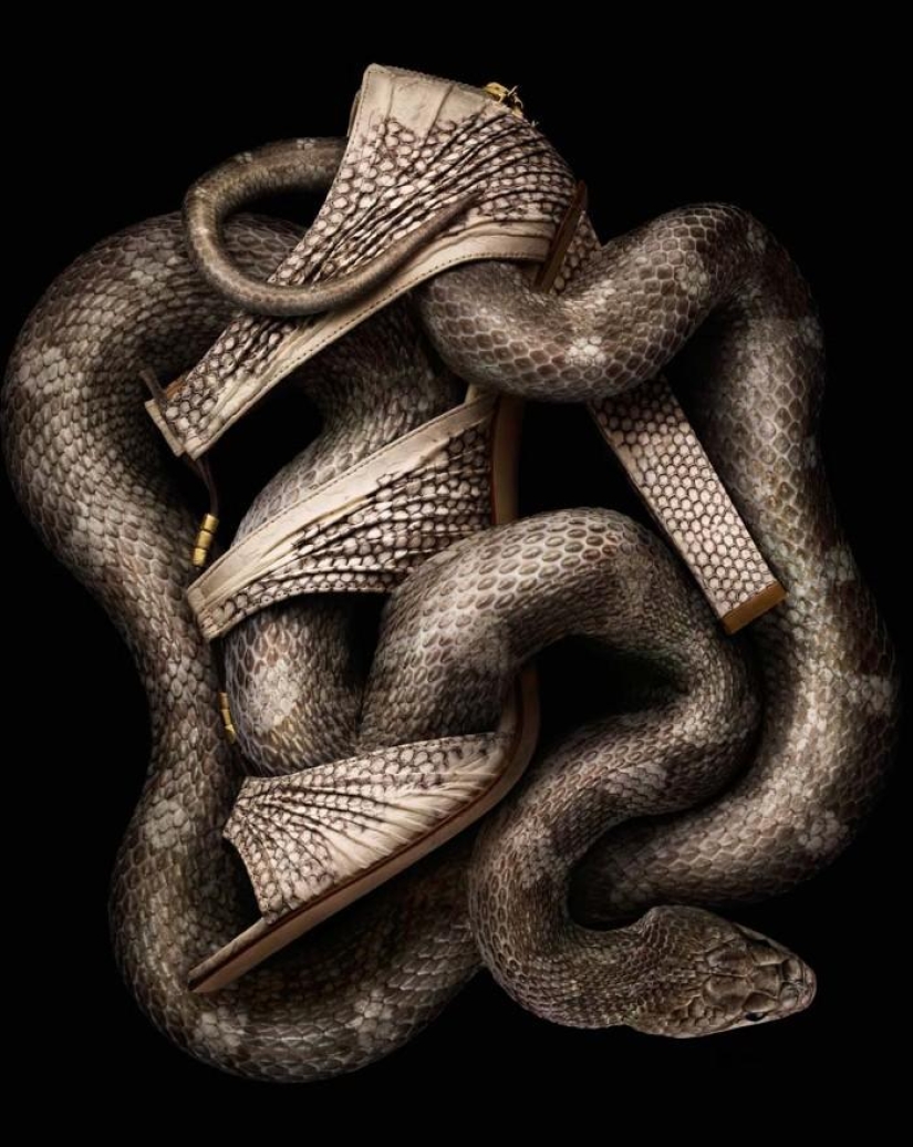 Una versión inusual de la joyería de Peter Lippmann