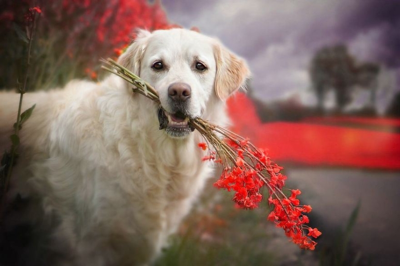 Unconditional love Unconditional love