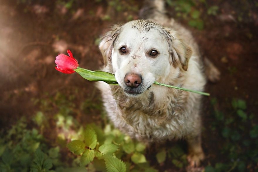 Unconditional love Unconditional love