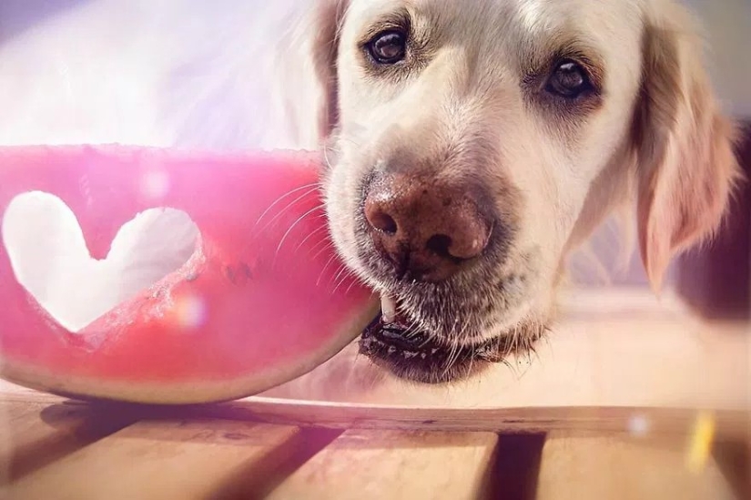 Unconditional love Unconditional love