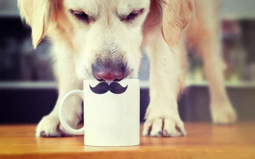 Unconditional love Unconditional love