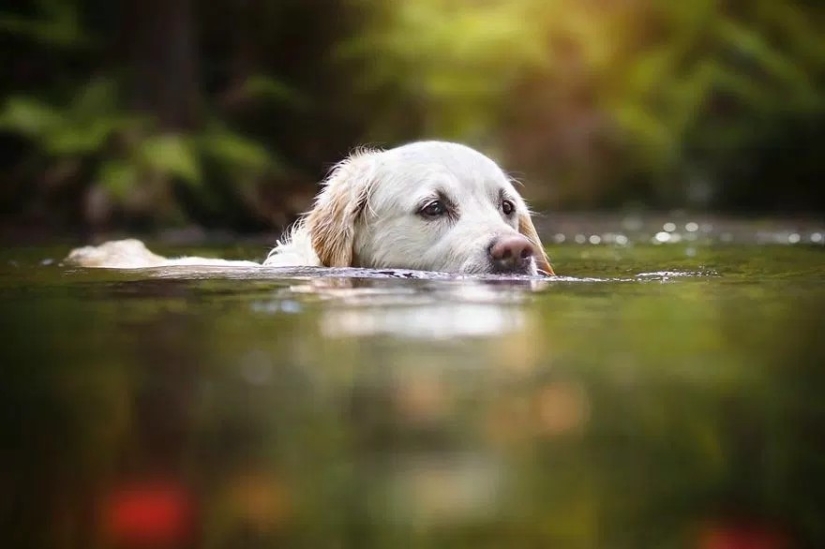 Unconditional love Unconditional love