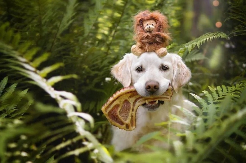 Unconditional love Unconditional love