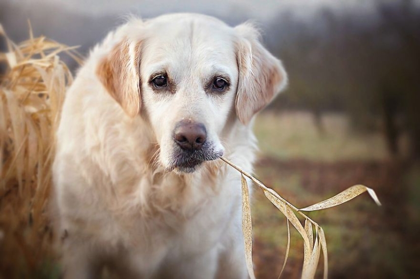 Unconditional love Unconditional love