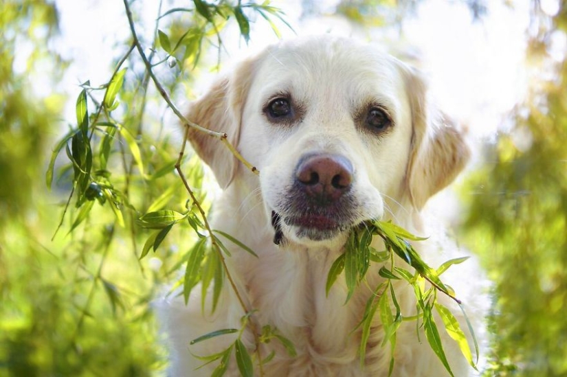 Unconditional love Unconditional love