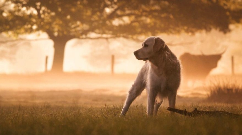 Unconditional love Unconditional love