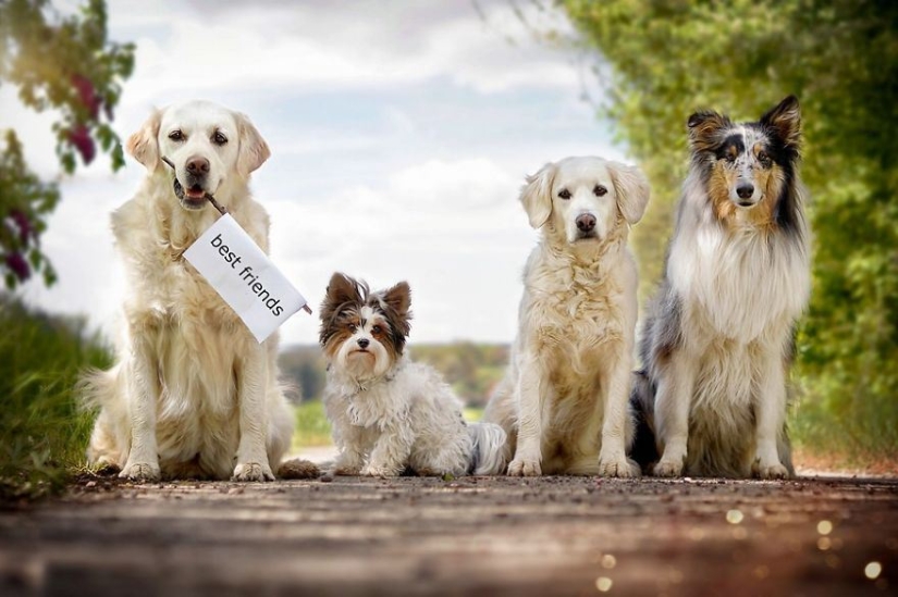 Unconditional love Unconditional love