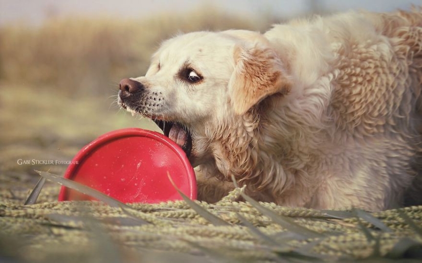 Unconditional love Unconditional love