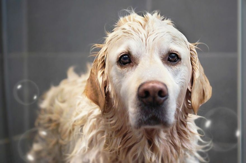 Unconditional love Unconditional love