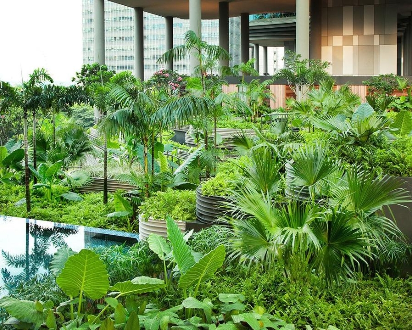 Unique garden on the facade of a hotel in Singapore