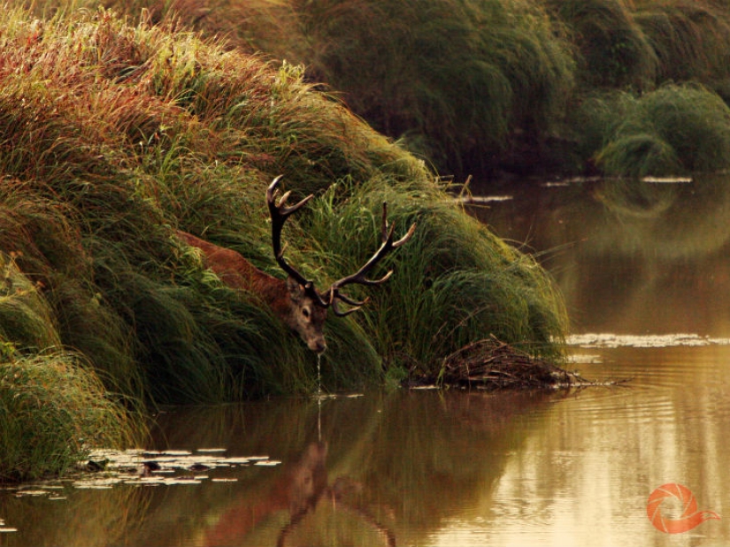 Unique photos of the wild corners of the country at the Primordial Russia festival