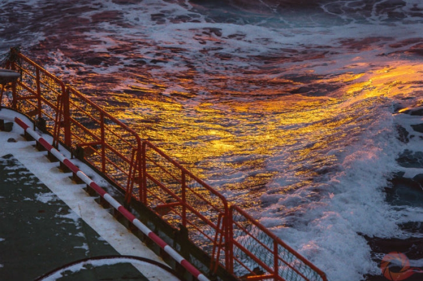 Unique photos of the wild corners of the country at the Primordial Russia festival