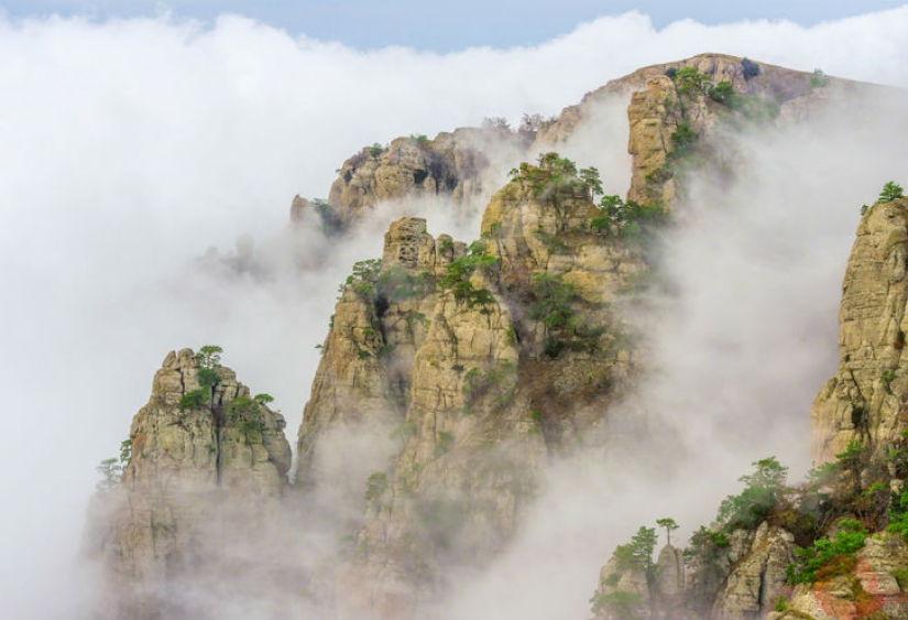 Unique photos of the wild corners of the country at the Primordial Russia festival