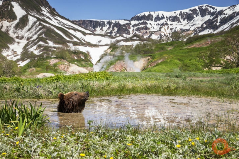 Unique photos of the wild corners of the country at the Primordial Russia festival