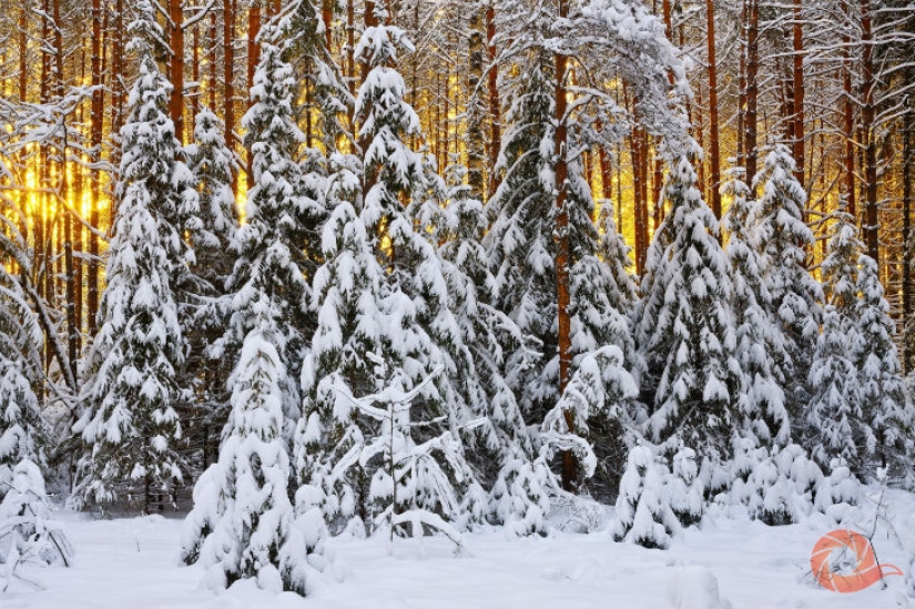 Unique photos of the wild corners of the country at the Primordial Russia festival