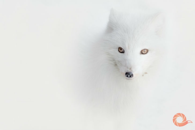 Unique photos of the wild corners of the country at the Primordial Russia festival