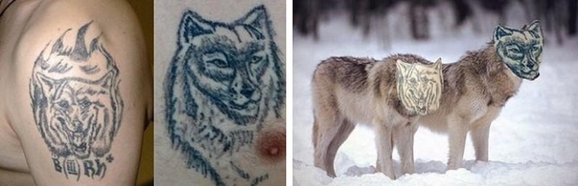 Unreal tattoos of real people and animals Unreal tattoos of real people and animals