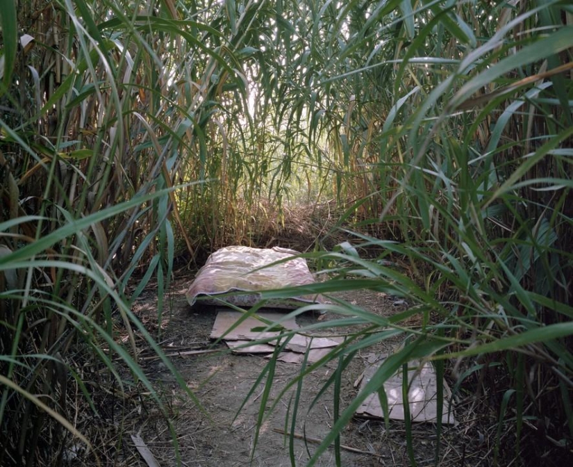 Until you get back on your feet