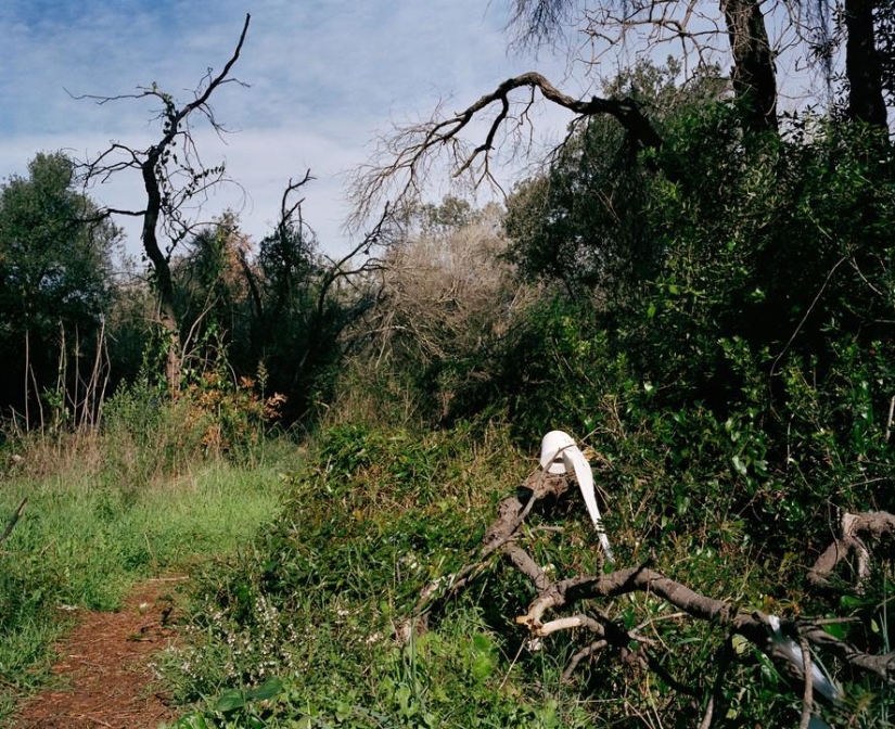 Until you get back on your feet