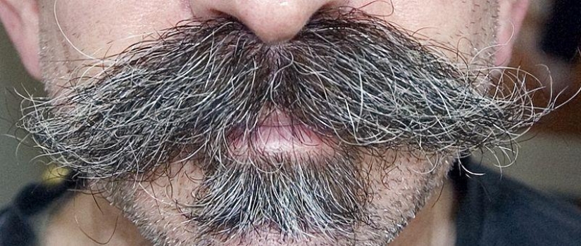 Unusual beards that are sure to make you draw attention