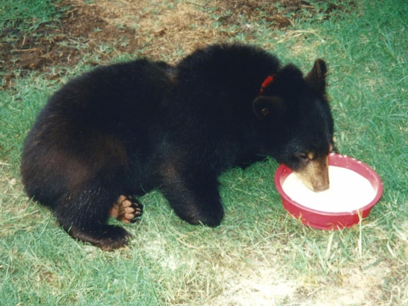 Unusual friendship - they have been together for 13 years
