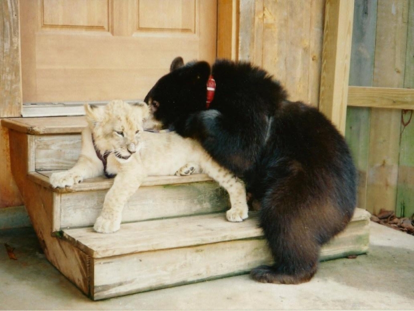 Unusual friendship - they have been together for 13 years