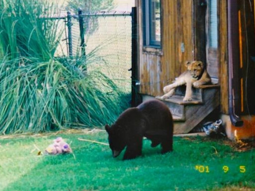 Unusual friendship - they have been together for 13 years