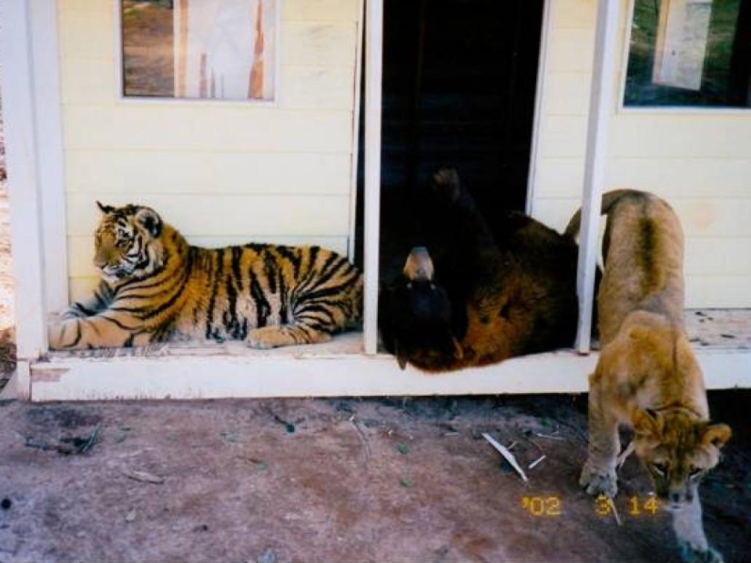 Unusual friendship - they have been together for 13 years