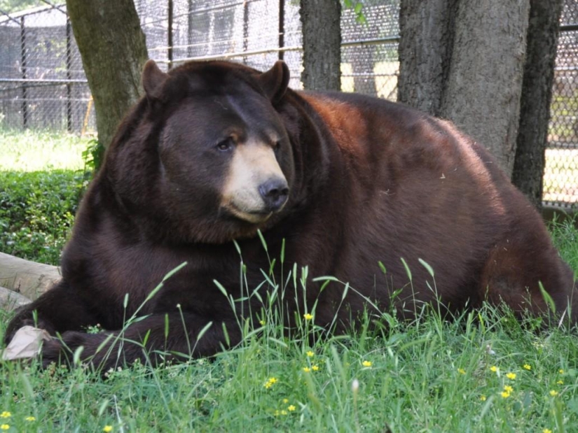 Unusual friendship - they have been together for 13 years